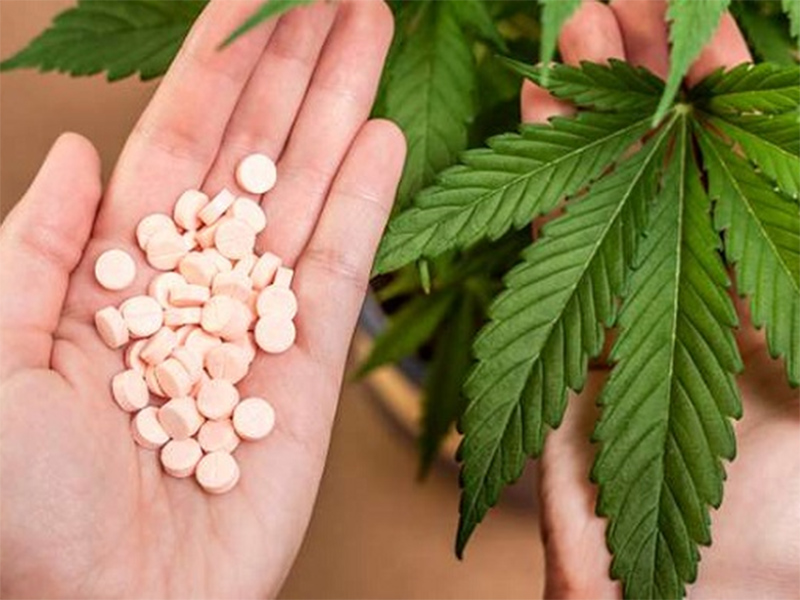 Anvisa otimiza importação de produtos derivados da Cannabis