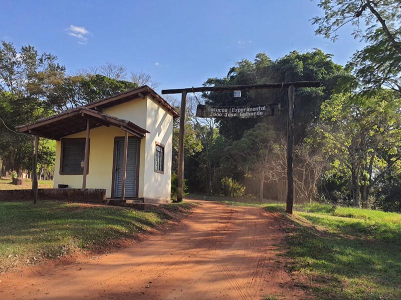 Horto Florestal de Paraguaçu registra furto de equipamentos na madrugada desta sexta-feira (11)