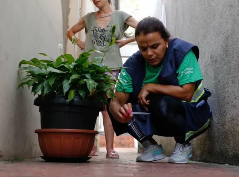 Brasil se aproxima de 5 mil mortes por dengue em 2024