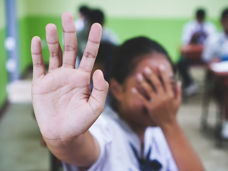 Reunião nesta terça-feira na Câmara Municipal vai discutir a prevenção de ataques em escolas