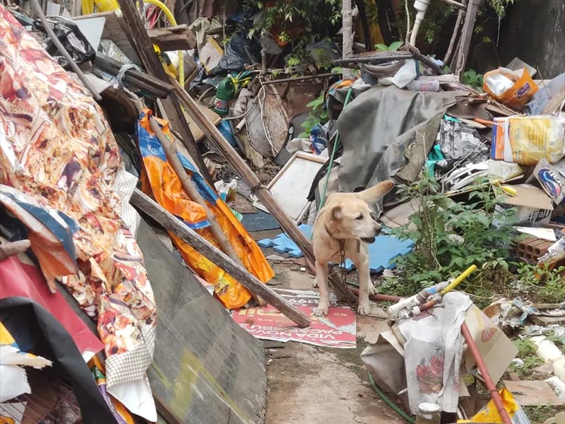 Homem de 72 anos é multado em R$ 3 mil por maus-tratos a cachorro, em Presidente Prudente