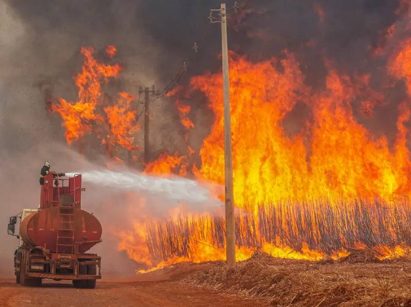 Mais de 80% dos focos de calor em SP estão em áreas de agropecuária