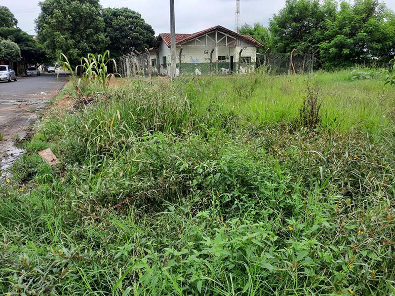 Moradores denunciam descaso com o bairro Aldo Paes Leme, em Paraguaçu