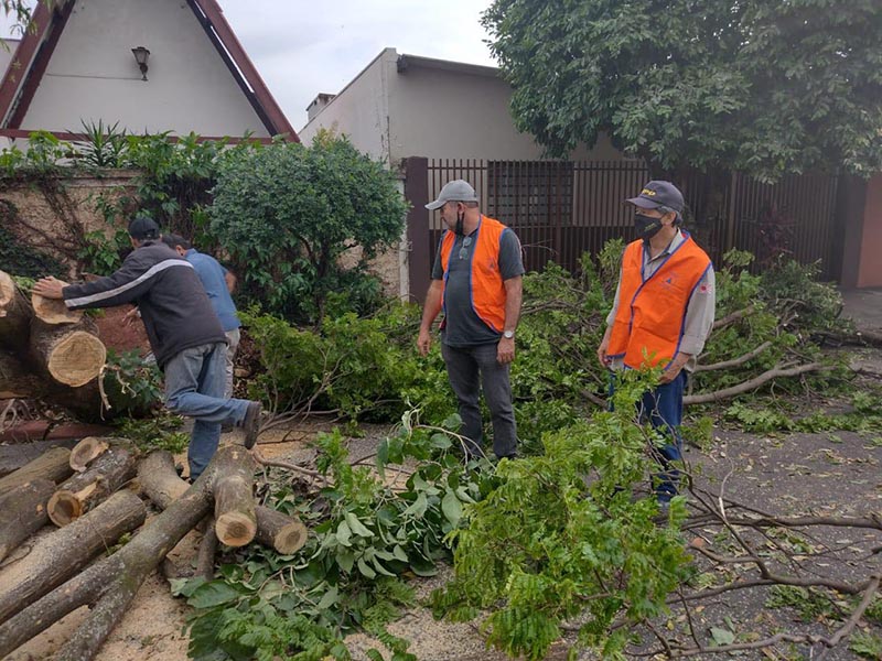 Prefeito Antian acompanha retirada de galhos, entrega de lonas e limpeza da cidade