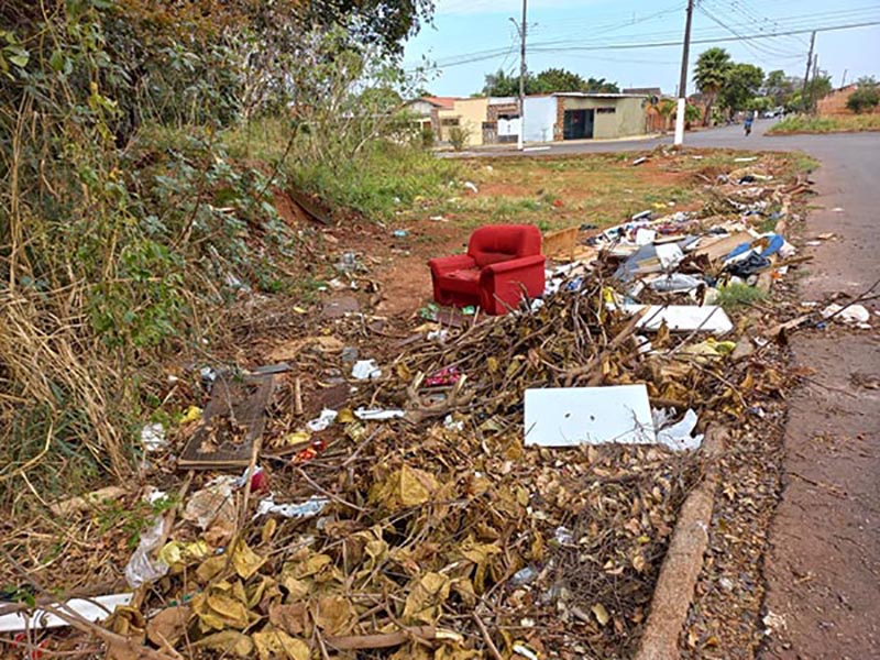 Vereadora solicita realização da Campanha Cidade Limpa em Paraguaçu