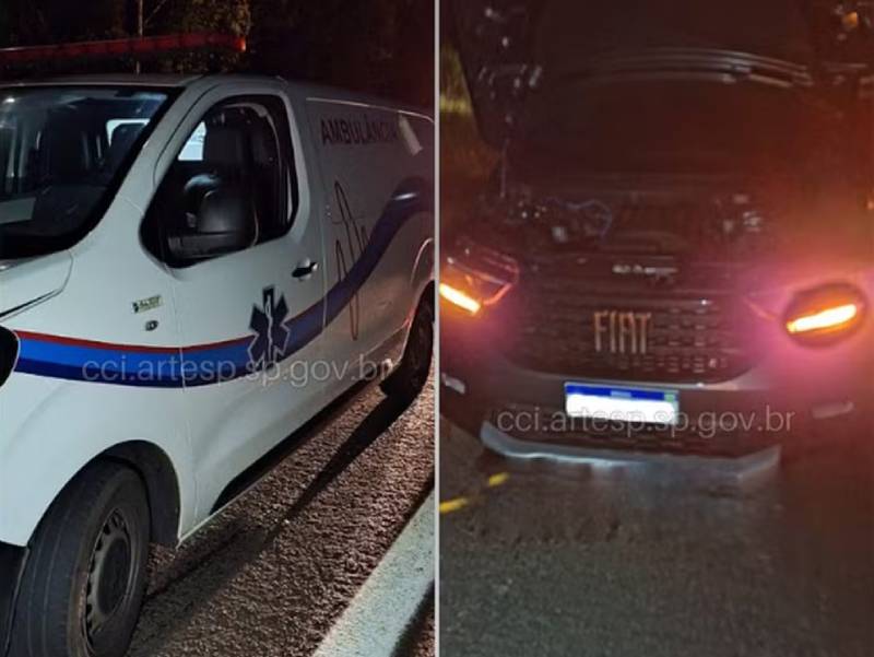 Porco solto na pista é atropelado por ambulância e carro utilitário em Piratininga