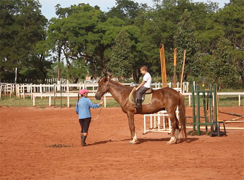 Equoterapia transforma vida de crianças e adultos em Paraguaçu