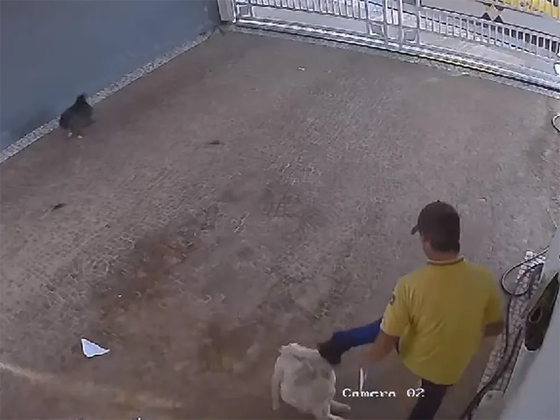 Carteiro é flagrado chutando cachorro durante entrega de encomenda em Marília