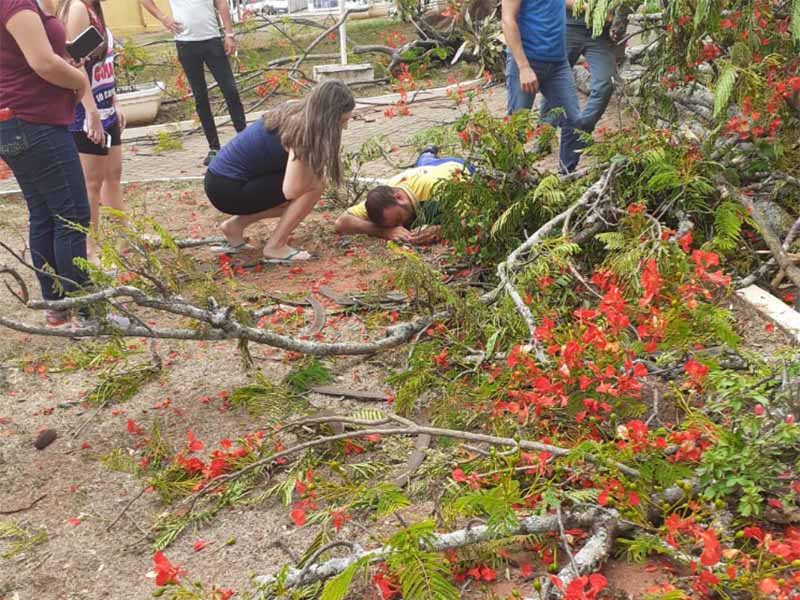 Carteiro fica ferido após ser atingido por árvore em Quatá