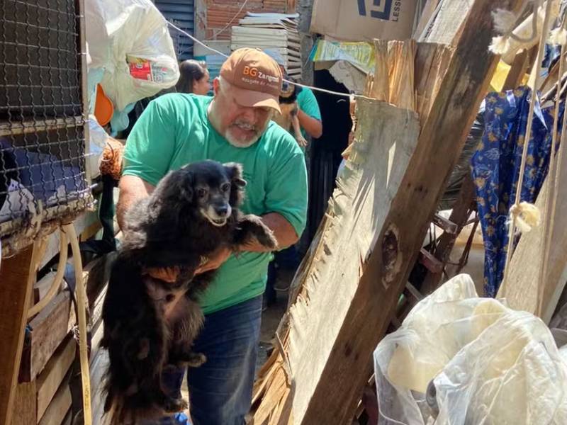 Operação resgata mais de 70 animais em situação de maus-tratos em Marília