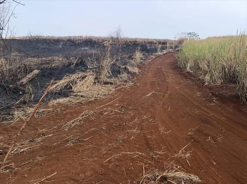 Polícia Ambiental multa empresa em R$ 3 milhões por queima de vegetação para cultivo de cana em Jaú