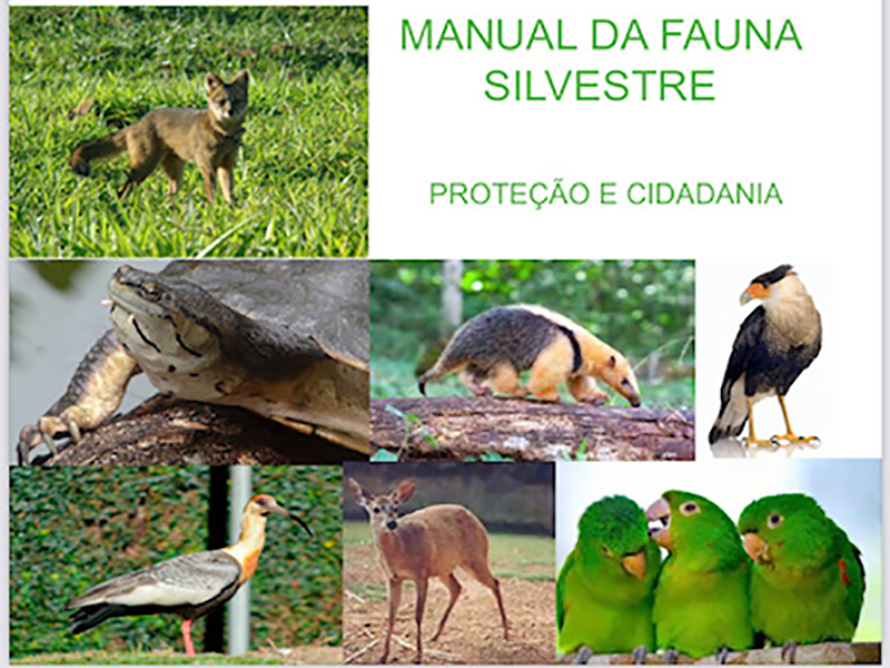 Meio ambiente disponibiliza manual da fauna silvestre para download