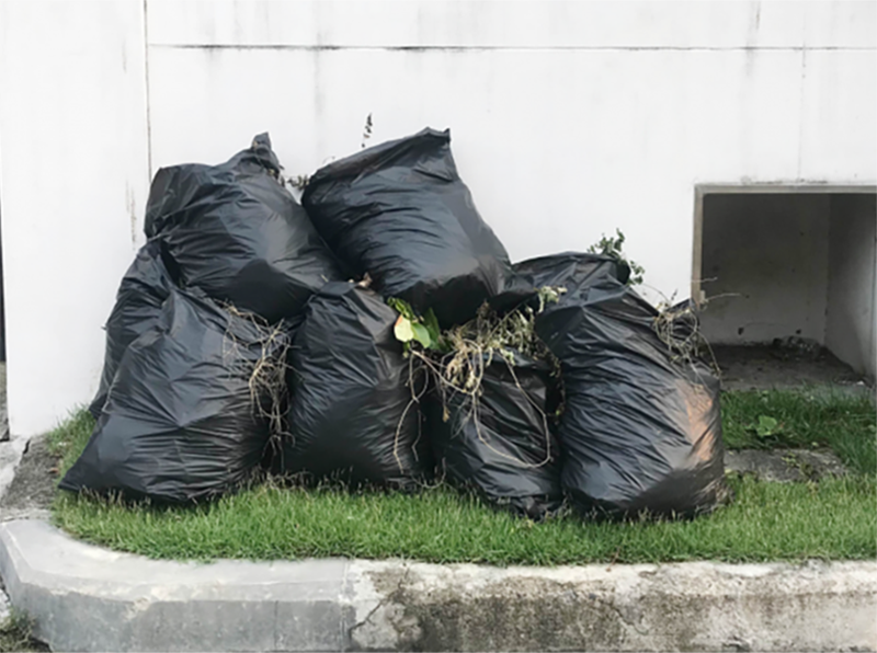 Coleta de lixo muda para sistema de porta em porta