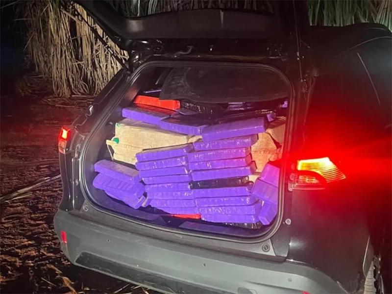 Homem é preso dormindo em canavial após abandonar carro com quase 800kg de maconha