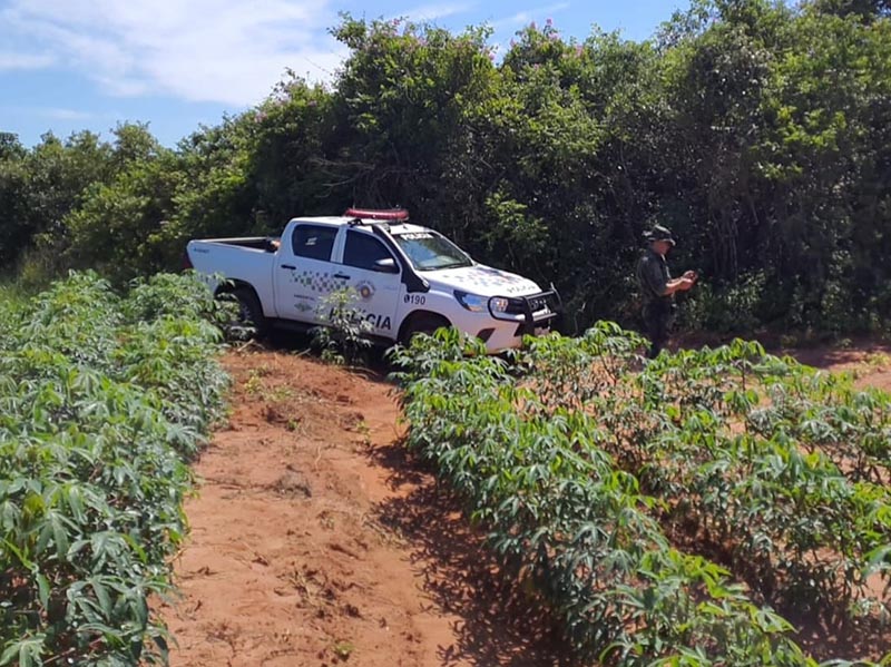 Polícia Ambiental aplica multa de mais de R$40 mil por destruição de mata em Paraguaçu Paulista