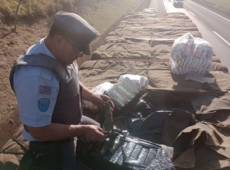 Polícia Rodoviária apreende mais de 2 toneladas de maconha na Rodovia Castello Branco