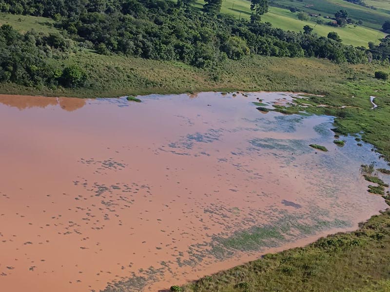 Ong Salvar identifica motivo de dano ambiental nas águas do Balneário Municipal