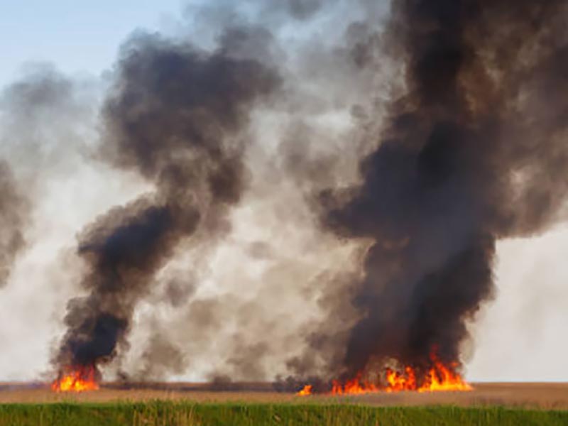 Focos de incêndio são registrados com frequência em Paraguaçu Paulista