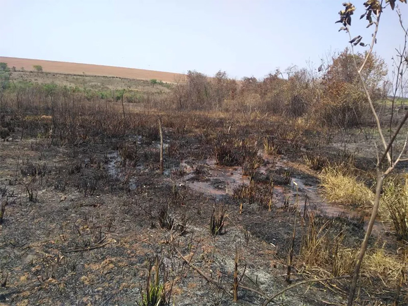 Polícia Militar Ambiental realiza fiscalização em focos de queimada em Echaporã