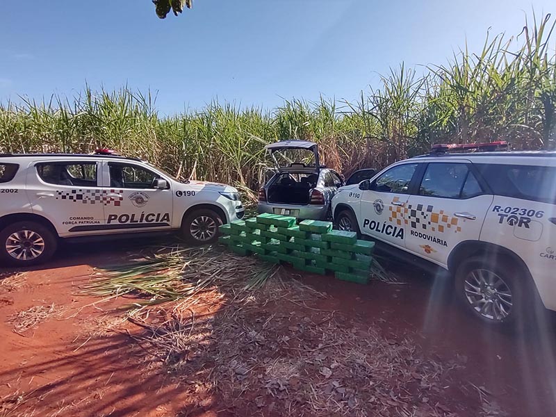 Grande quantidade de maconha é apreendida pela Polícia Rodoviária após perseguição em Ibirarema