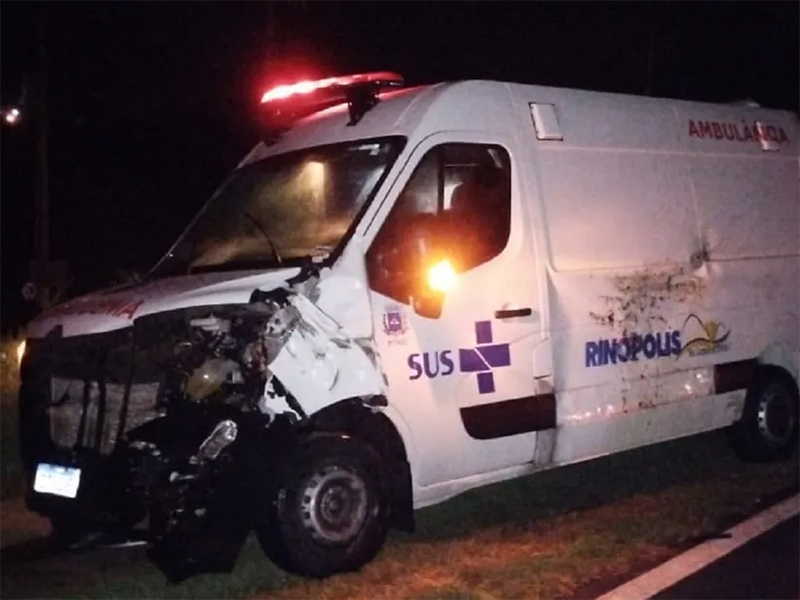 Ambulância que transportava pacientes atropela e mata boi em rodovia no interior de SP