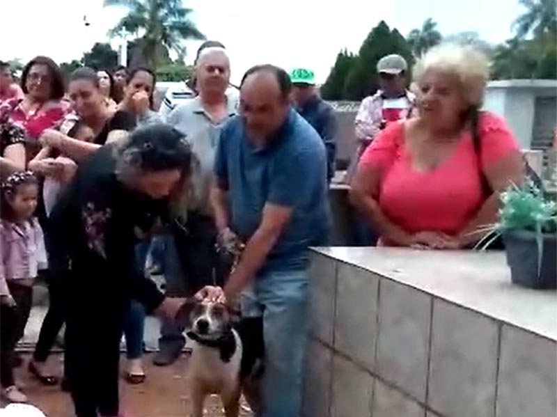 Cachorro se despede da dona no cemitério em Paraguaçu Paulista