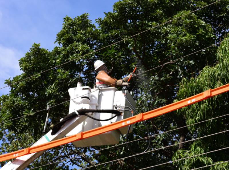 Energisa realiza mutirão de melhorias na rede elétrica e orientações de segurança em Echaporã