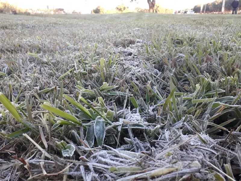 Rancharia registrou temperatura mais baixa do Estado de São Paulo nesta quarta-feira