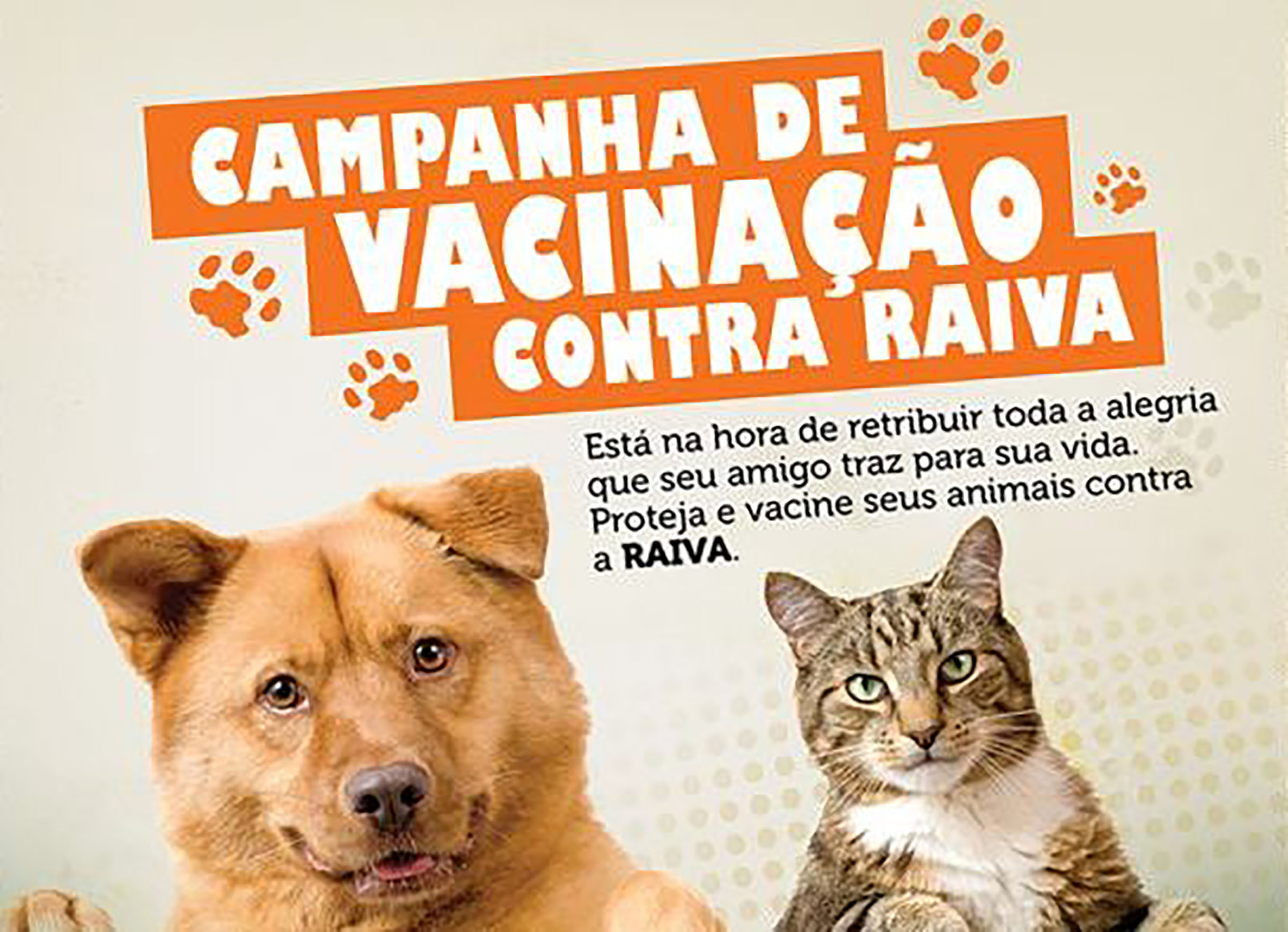 Vacinação contra a ravia começa em Paraguaçu