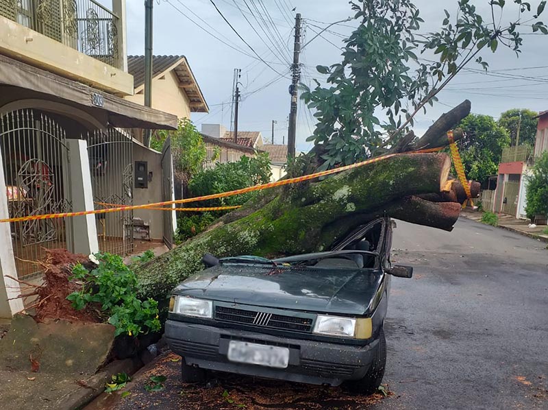 Durante chuva, árvore cai e deixa veículo danificado em Paraguaçu Paulista